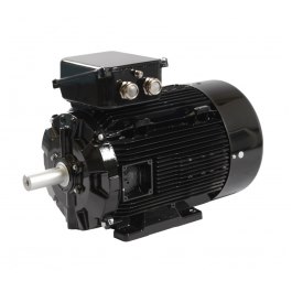 Silniki i serwosilniki AC Leroy-Somer i Control Techniques